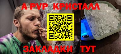 стафф Камышлов