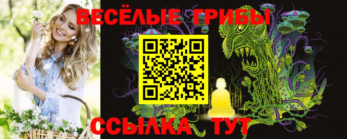 Галлюциногенные грибы Cubensis  где купить наркотик  Красноярск  Вход с VPN 