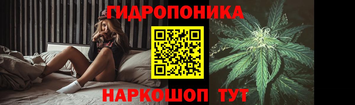Бошки марихуана сатива Красноярск